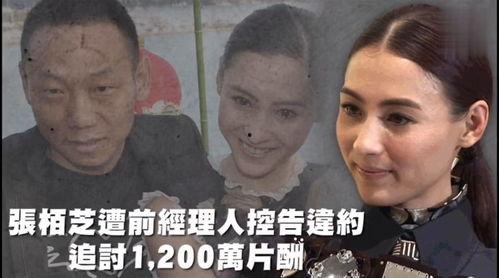 娱乐吃瓜纪录片,幕后真相与吃瓜瞬间